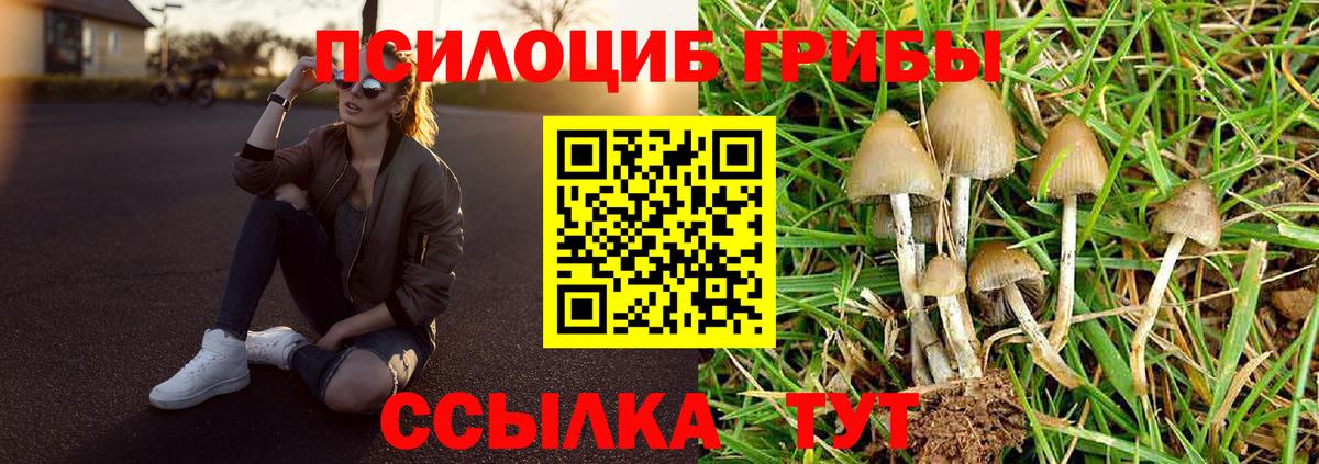 Дивногорск  Псилоцибиновые грибы MAGIC MUSHROOMS  Вход с VPN 